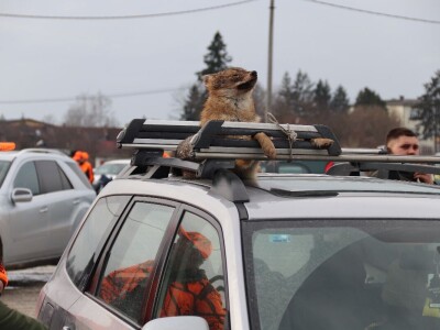 Više od 2.000 lovaca na osmoj Šakalijadi u Derventi