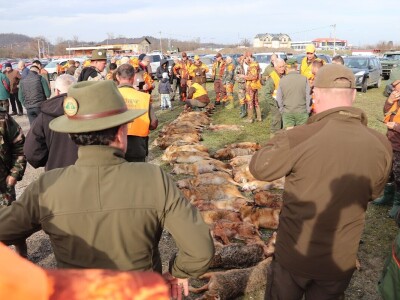 Više od 2.000 lovaca na osmoj Šakalijadi u Derventi