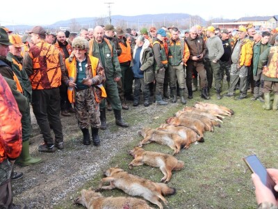 Više od 2.000 lovaca na osmoj Šakalijadi u Derventi