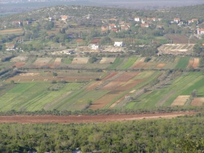 Visina potpore za razvoj poljoprivrede kreće se od pet tisuća do pet milijuna eura