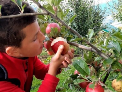 Visit Village - platforma za poljoprivredna gazdinstava