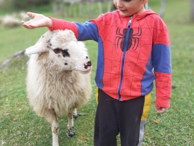 Visit Village - platforma za poljoprivredna gazdinstava