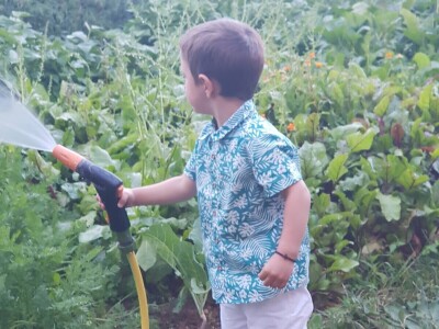 Visit Village - platforma za poljoprivredna gazdinstava