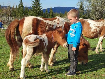 Visit Village - platforma za poljoprivredna gazdinstava