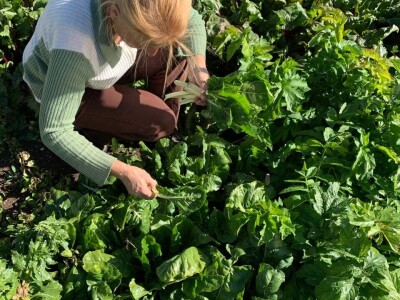 Visit Village - platforma za poljoprivredna gazdinstava