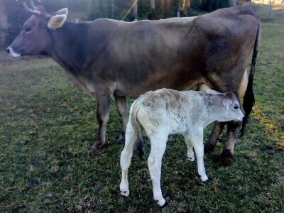 Visit Village - platforma za poljoprivredna gazdinstava