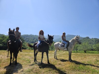 Visit Village - platforma za poljoprivredna gazdinstava