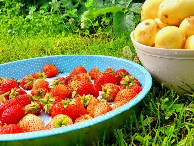 Visit Village - platforma za poljoprivredna gazdinstava