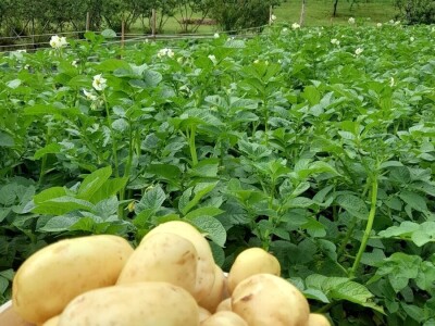 Visit Village - platforma za poljoprivredna gazdinstava