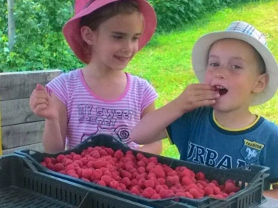 Visit Village - platforma za poljoprivredna gazdinstava