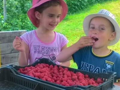 Visit Village - platforma za poljoprivredna gazdinstava