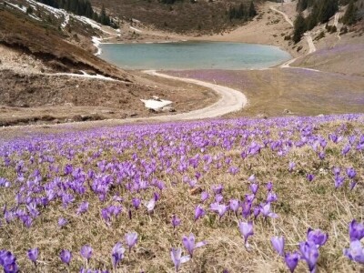 Visit Village - platforma za poljoprivredna gazdinstava