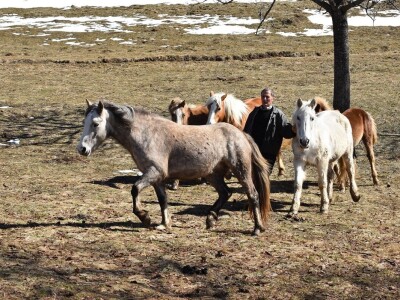 Vjekoslav Joksimović, policajac koga vole ptice i zverinje