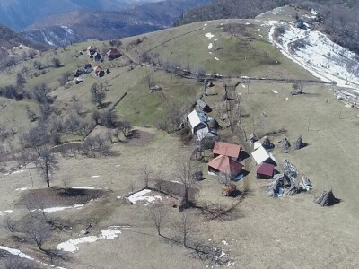 Vjekoslav Joksimović, policajac koga vole ptice i zverinje