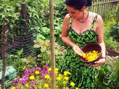 "Vještičja kuhinjica" Mirele Jakuš Fröbe