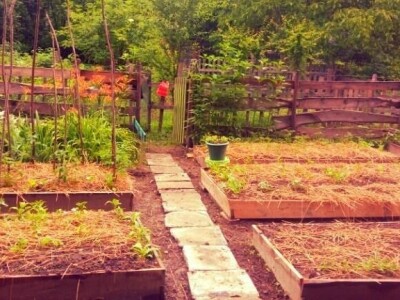 "Vještičja kuhinjica" Mirele Jakuš Fröbe