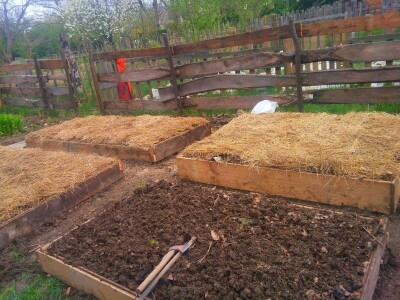 "Vještičja kuhinjica" Mirele Jakuš Fröbe