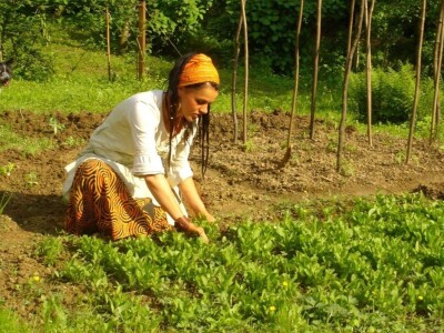"Vještičja kuhinjica" Mirele Jakuš Fröbe