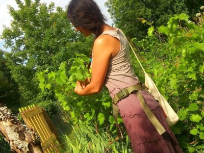 "Vještičja kuhinjica" Mirele Jakuš Fröbe