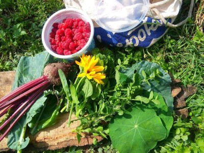 "Vještičja kuhinjica" Mirele Jakuš Fröbe