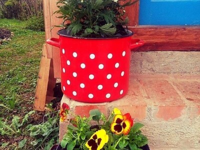 "Vještičja kuhinjica" Mirele Jakuš Fröbe