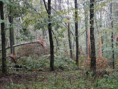 Vjetrolom u UŠP Bjelovar