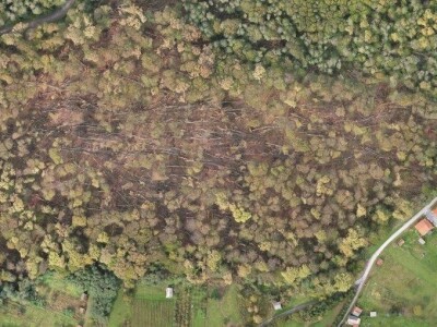 Vjetrolom u UŠP Bjelovar