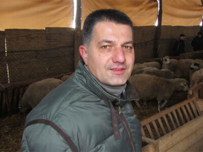 Vladan Krasavac