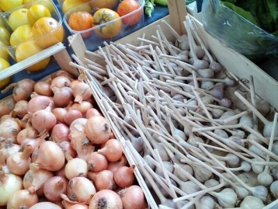 Vladimir Ferzanović proizvodi i čuva stare sorte paradajza