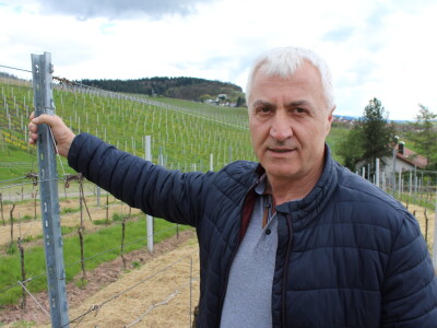 Domaća vina i maslinova ulja predstavljena u Strasbourgu