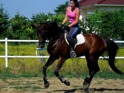 OPG Krivić - Bonanza