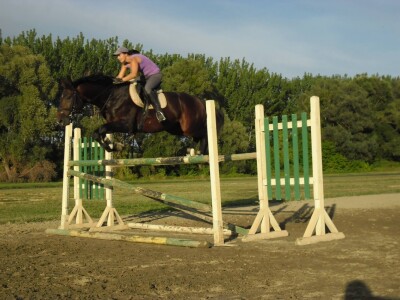 OPG Krivić - Bonanza