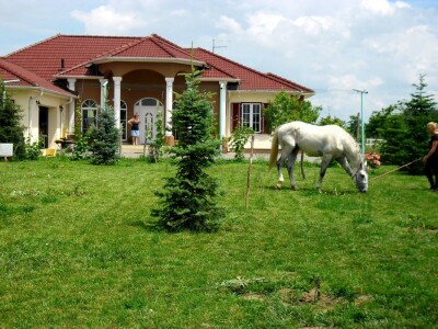 OPG Krivić - Bonanza