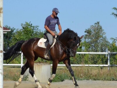 OPG Krivić - Bonanza