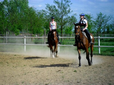 OPG Krivić - Bonanza