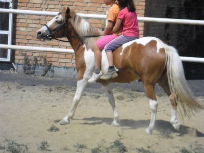 dvije unuke Iva i Lara na poniju &quot;Larissa&quot;