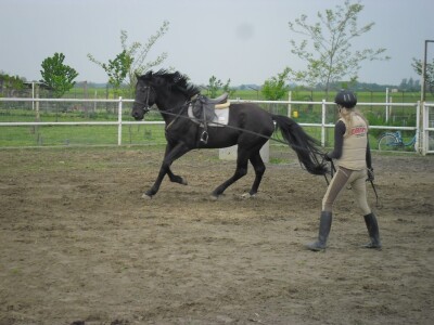 OPG Krivić - Bonanza