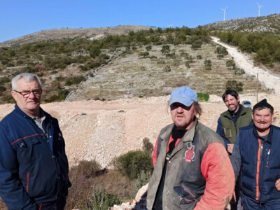 Smećem zasuli stare maslinike i voćnjake