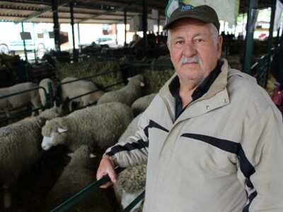 Vlajko Jovešić iz Bačkog Novog Sela