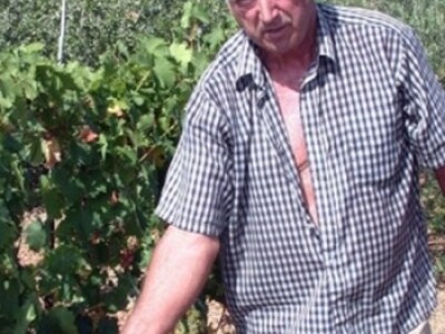 Vlasnik pokazuje štete divlje svinje