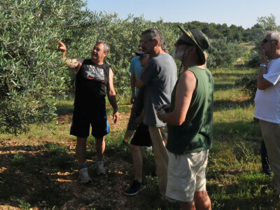 Maslinar Dr. Ivica Vlatković Maslinar Dr. Ivica Vlatković