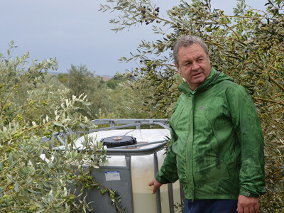 Maslinar Dr. Ivica Vlatković Maslinar Dr. Ivica Vlatković