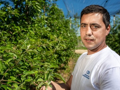 Voćar Miroslav Kolić