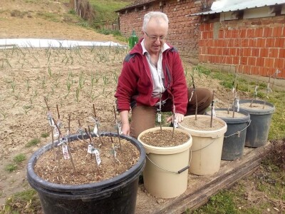 Voćari entuzijasti Voćari entuzijasti