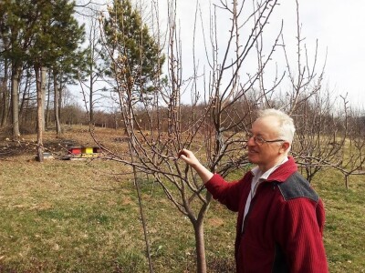 Voćari entuzijasti Voćari entuzijasti