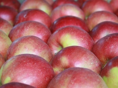 Voćarski sajam u Donjem Kraljevcu