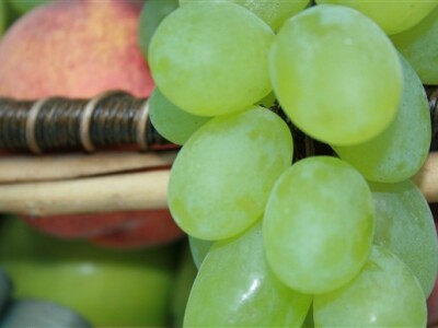 Voćarski sajam u Donjem Kraljevcu