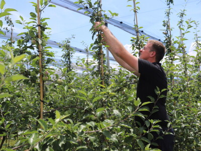 Voćarsko-vinogradarsko poljoprivredno gospodarstvo Karlovček