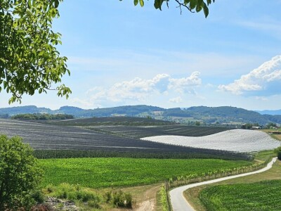 Voćarsko-vinogradarsko poljoprivredno gospodarstvo Karlovček