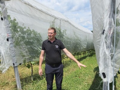 Voćarsko-vinogradarsko poljoprivredno gospodarstvo Karlovček